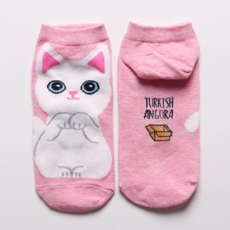 10 PAIRES Chaussettes basses en coton pour femme - Motifs classiques et dessins animés